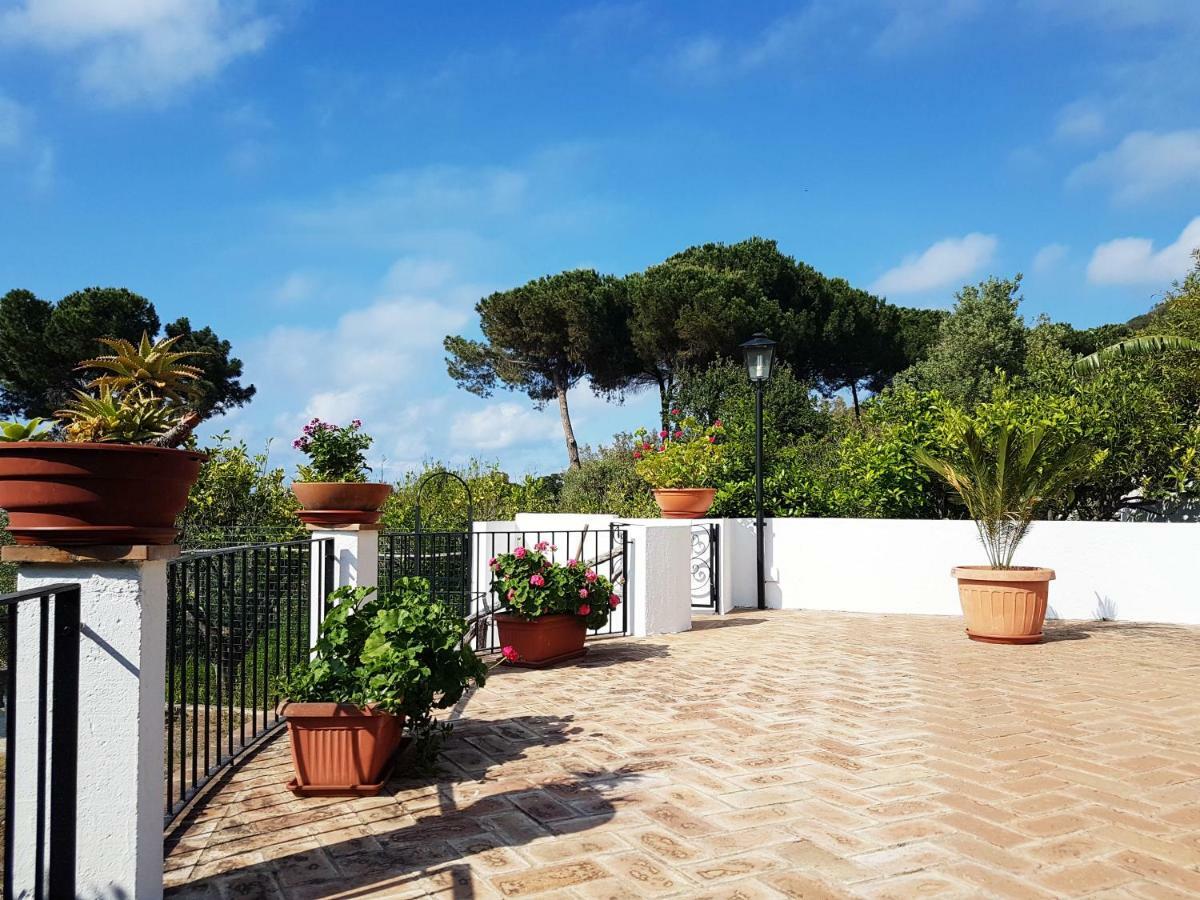 Villa Del Sogno パルゲリーア エクステリア 写真
