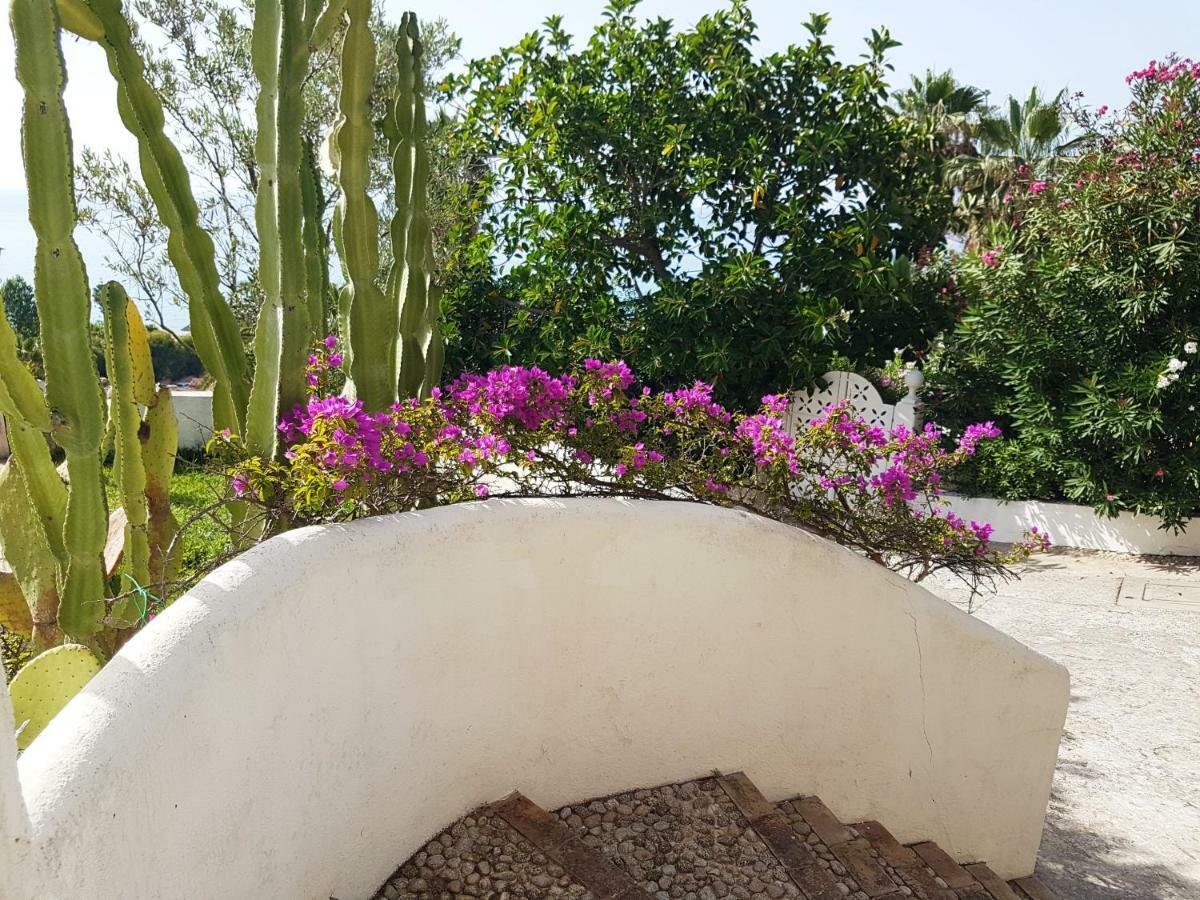 Villa Del Sogno パルゲリーア エクステリア 写真